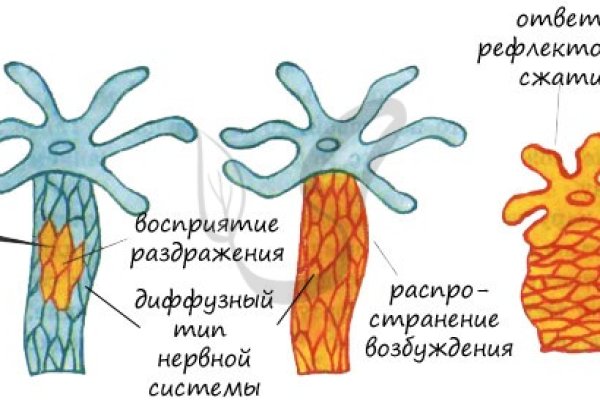 Kraken это что такое